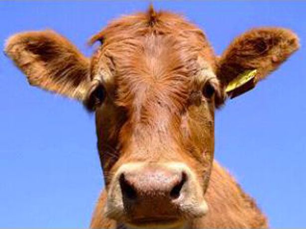 menulis, nonton konser, traveling